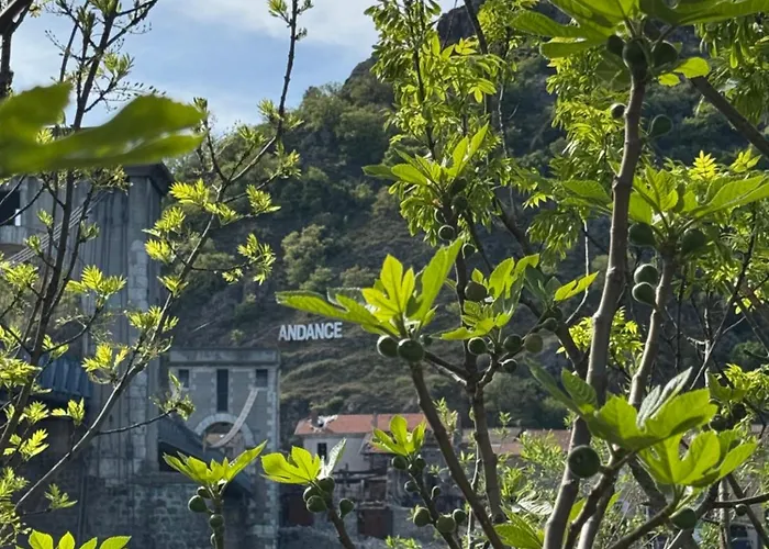 Chez Oanel