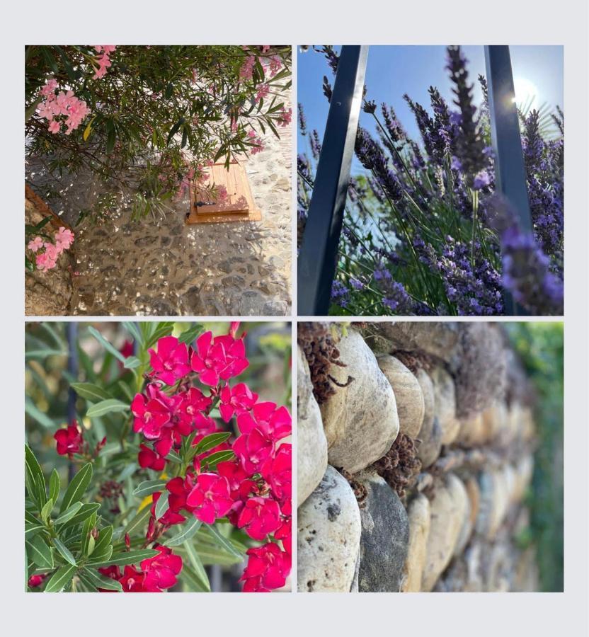 Chez Oanel Holiday home Andance